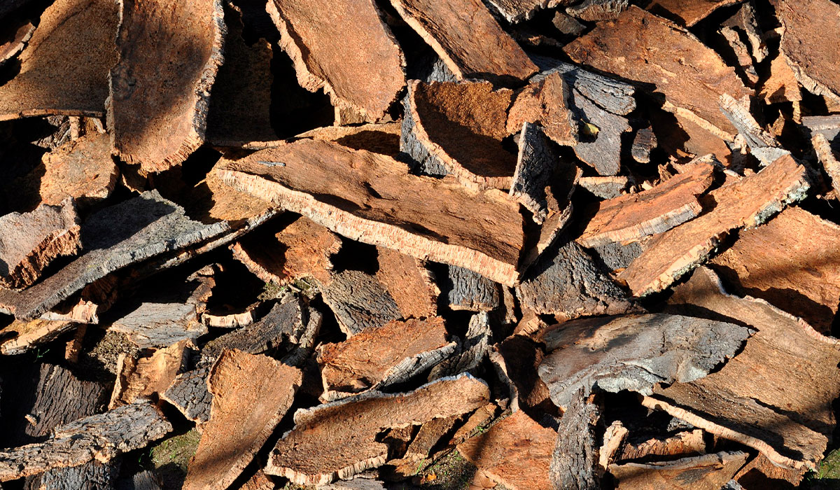 Indústria Corticeira